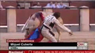 Bullfight Goes Horribly Right, For Bull: Parte Dos (Video)